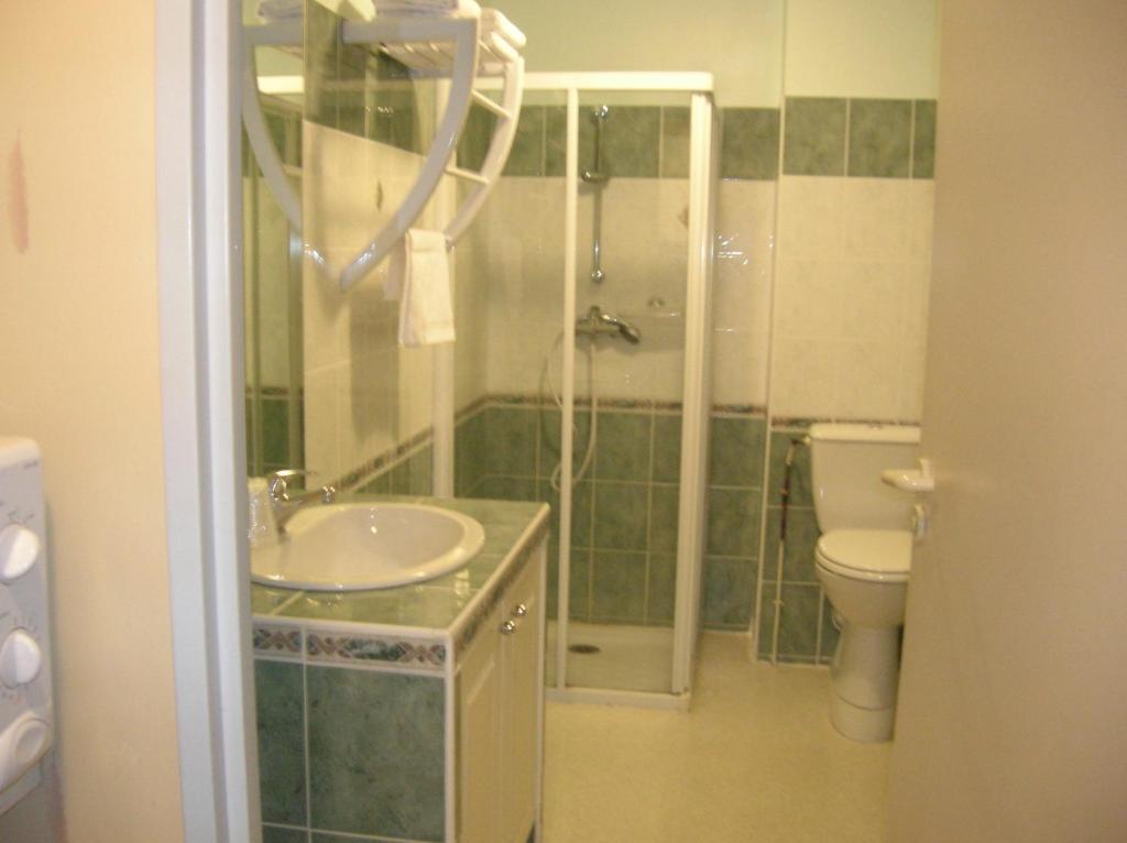 Les Berges Du Tarn Aparthotel Millau Habitación foto
