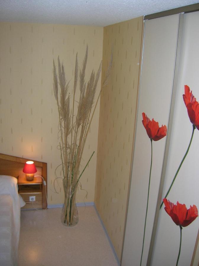 Les Berges Du Tarn Aparthotel Millau Habitación foto